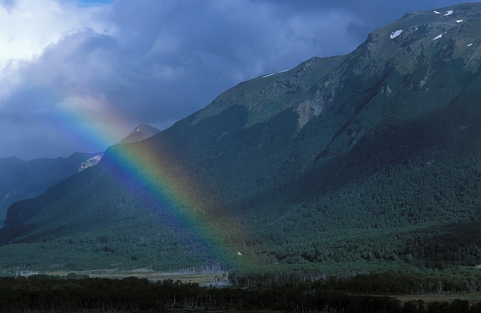 Regenbogen