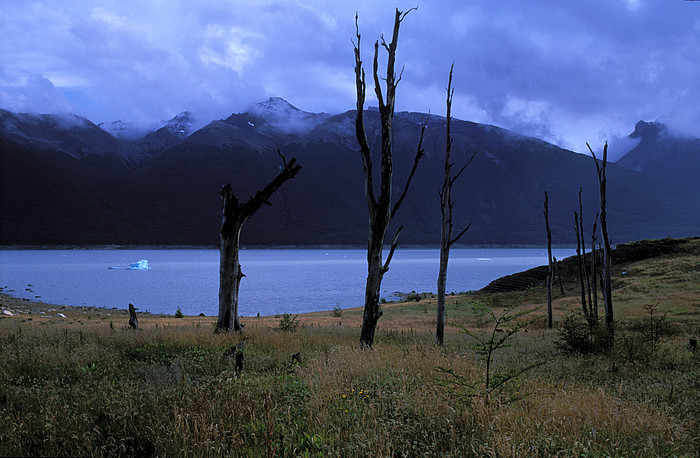 Los Glaciares