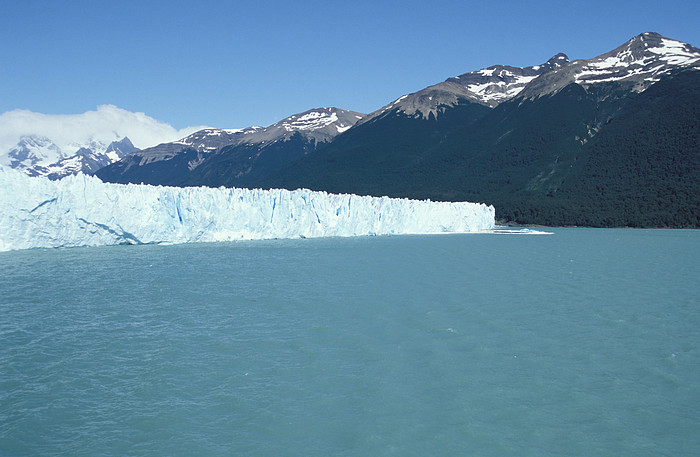 Moreno Gletscher