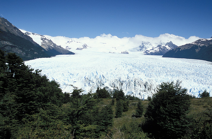 Moreno Gletscher