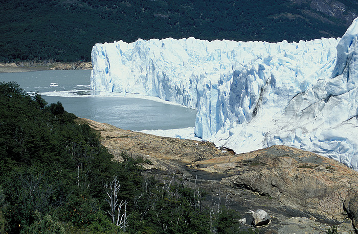 Moreno Gletscher