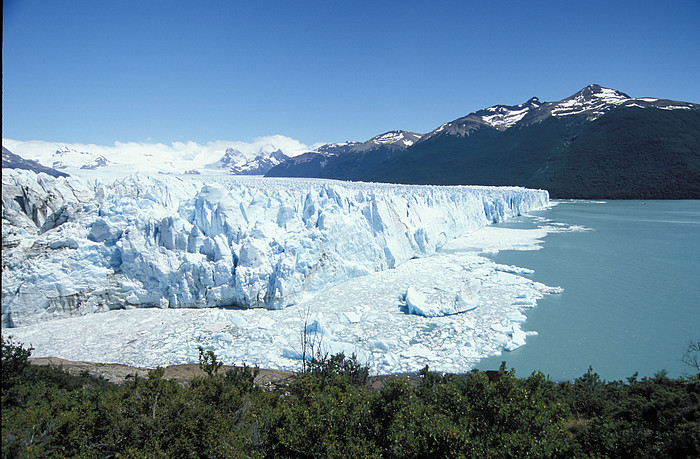 Moreno Gletscher