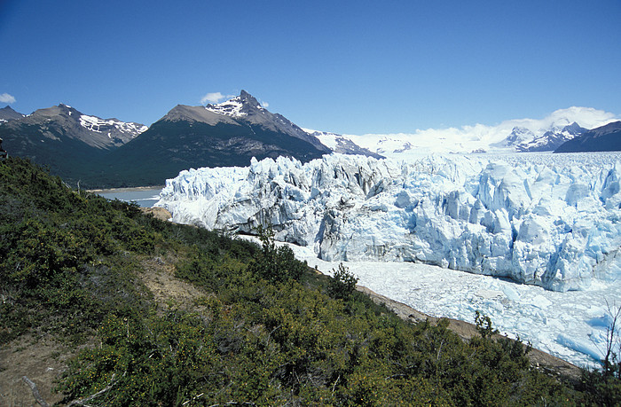 Moreno Gletscher