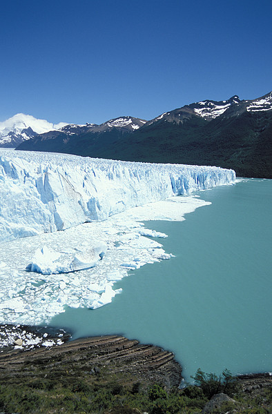 Moreno Gletscher