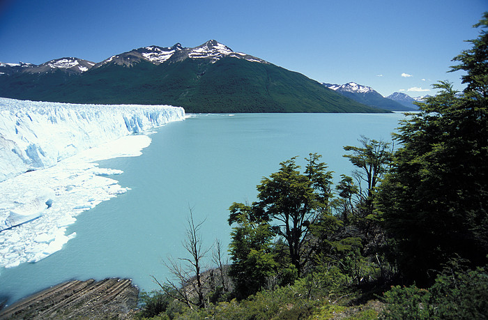 Moreno Gletscher