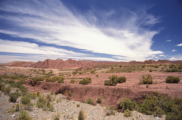 Altiplano 