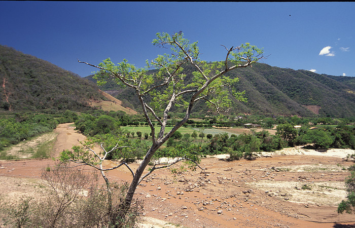 Cordillera Oriental