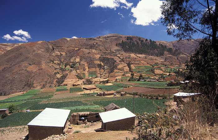 Cordillera Oriental