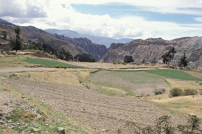 Palca Canyon