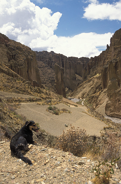 Palca Canyon