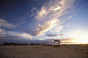 Lokomotiv Friedhof Uyuni