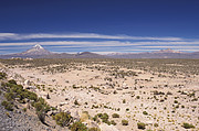Sajama