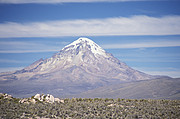 Sajama