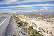 Sajama