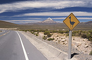 Sajama