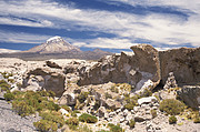 Sajama
