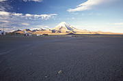 Sajama