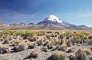 Sajama