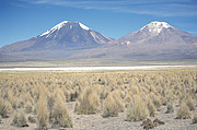 Pomerape und Parinacota