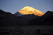 Sajama