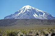 Sajama