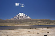 Sajama