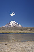 Sajama