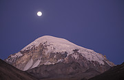 Sajama