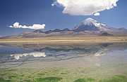 Sajama