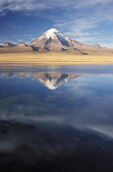 Sajama