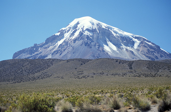 Sajama