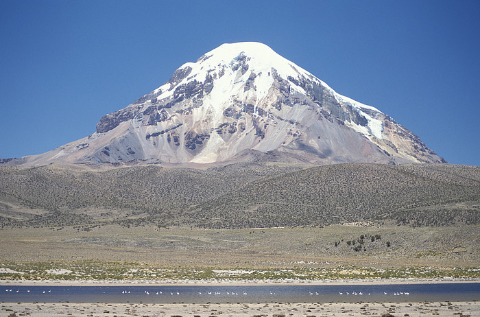 Sajama