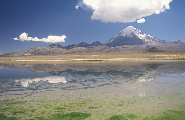 Sajama