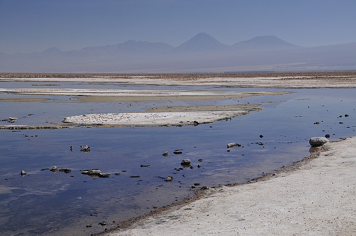 Salar de Atacama