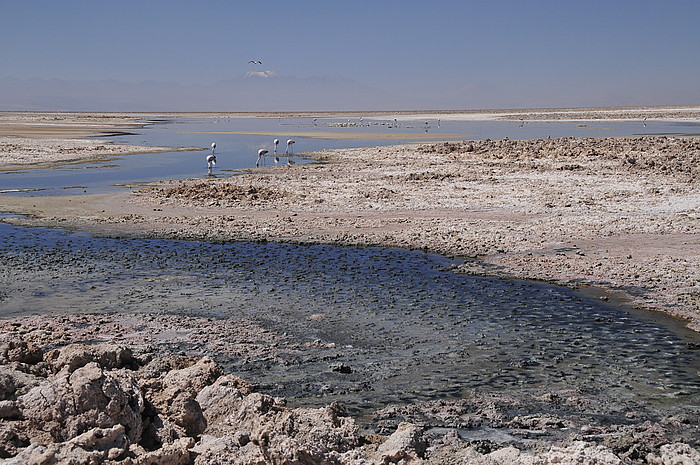 Salar de Atacama