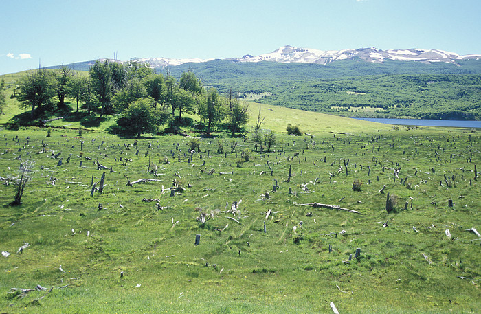 See in der Umgebung von Coihaique