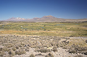 Lauca National Park