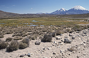 Parinacota und Pomerape