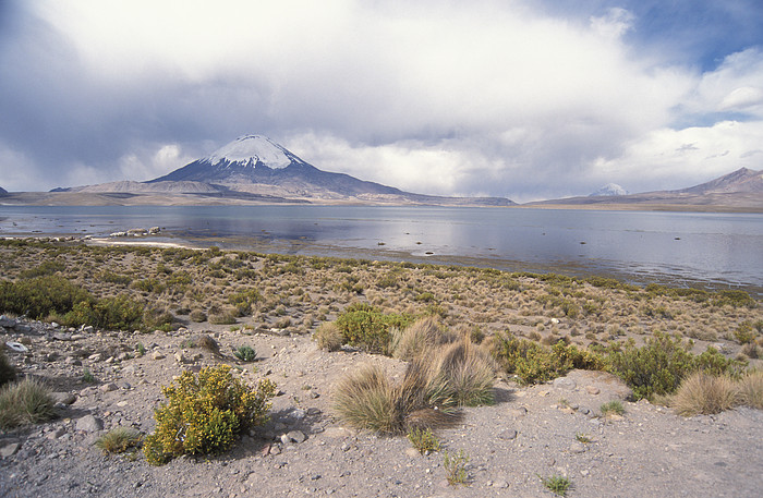 Lauca National Park