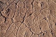 Trockene Erde