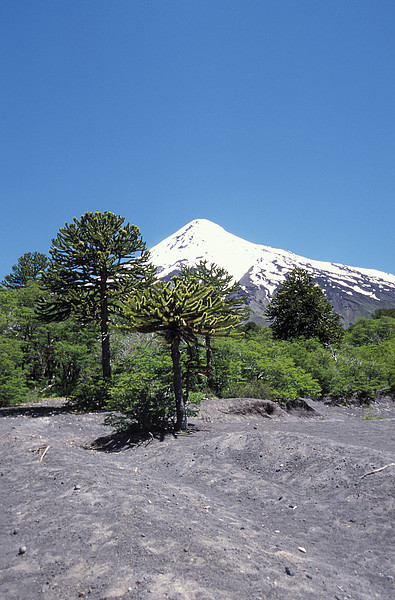 Vulkan Lanin