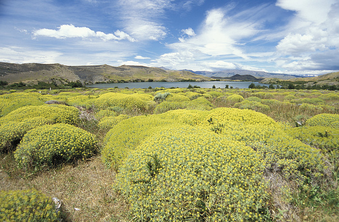 Torres del Paine Nationalpark