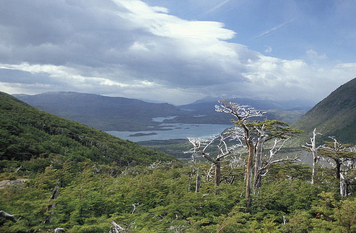 Torres del Paine Nationalpark