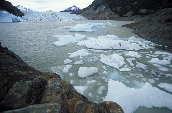 Glaciar y Lago Grey