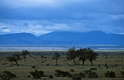 Cordillera Chilena