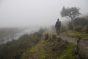 Cotopaxi Nationalpark