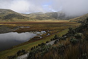 Cotopaxi Nationalpark