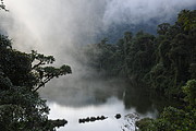 Laguna Guagua Sumaco