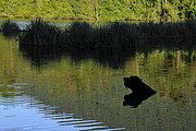 Laguna Guagua Sumaco