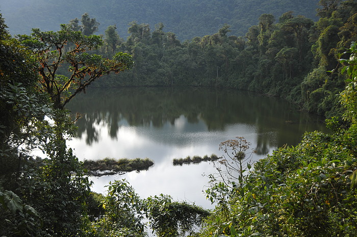 Laguna Guagua Sumaco